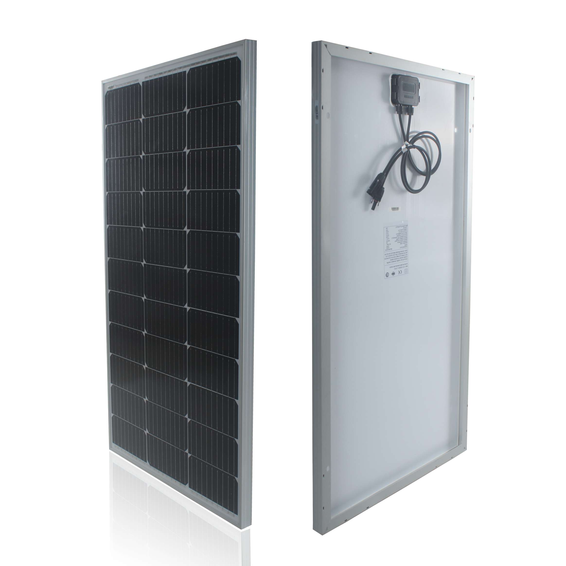 Module solaire EVA 100W